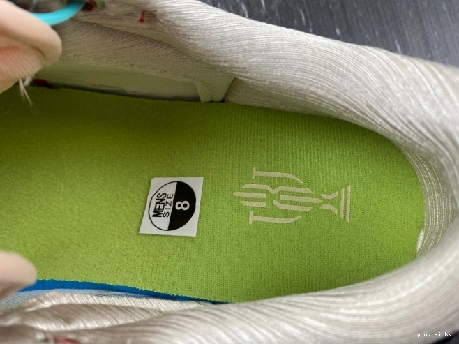 Cheap OG 1 Jordan Trophy Low Home x FN0432-017 Room Air 0703